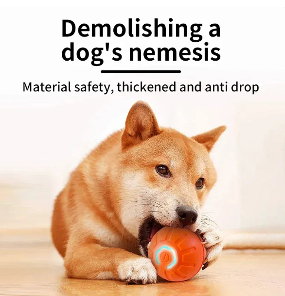 Furry Fun Ball